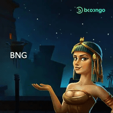 BW39 slot machine symbols and bonus round interface